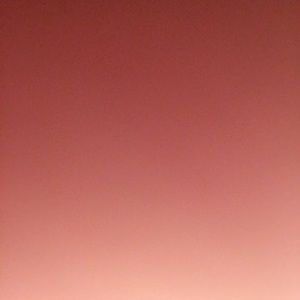 Meet your Posher, Ann